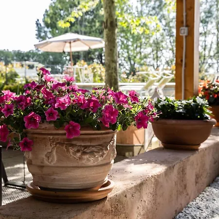 Bed & Breakfast Vecchio Granaio Pisa