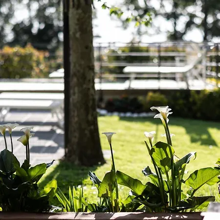 Frühstückspension Vecchio Granaio Pisa