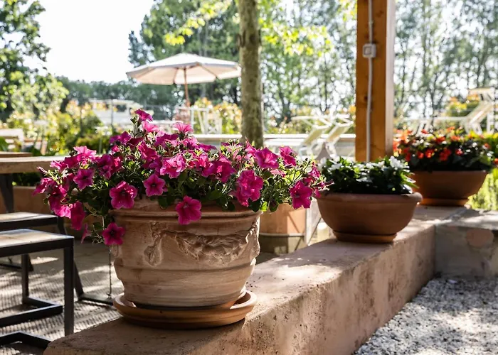 Bed & Breakfast Vecchio Granaio Pisa