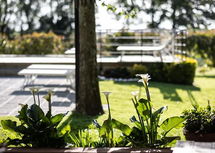 B&B Vecchio Granaio 피사